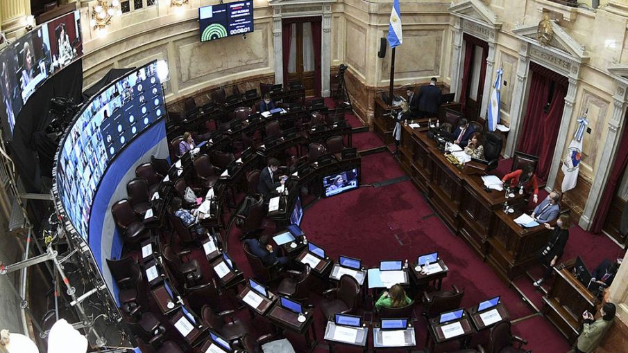 El Senado comienza a debatir el proyecto del impuesto a las grandes fortunas