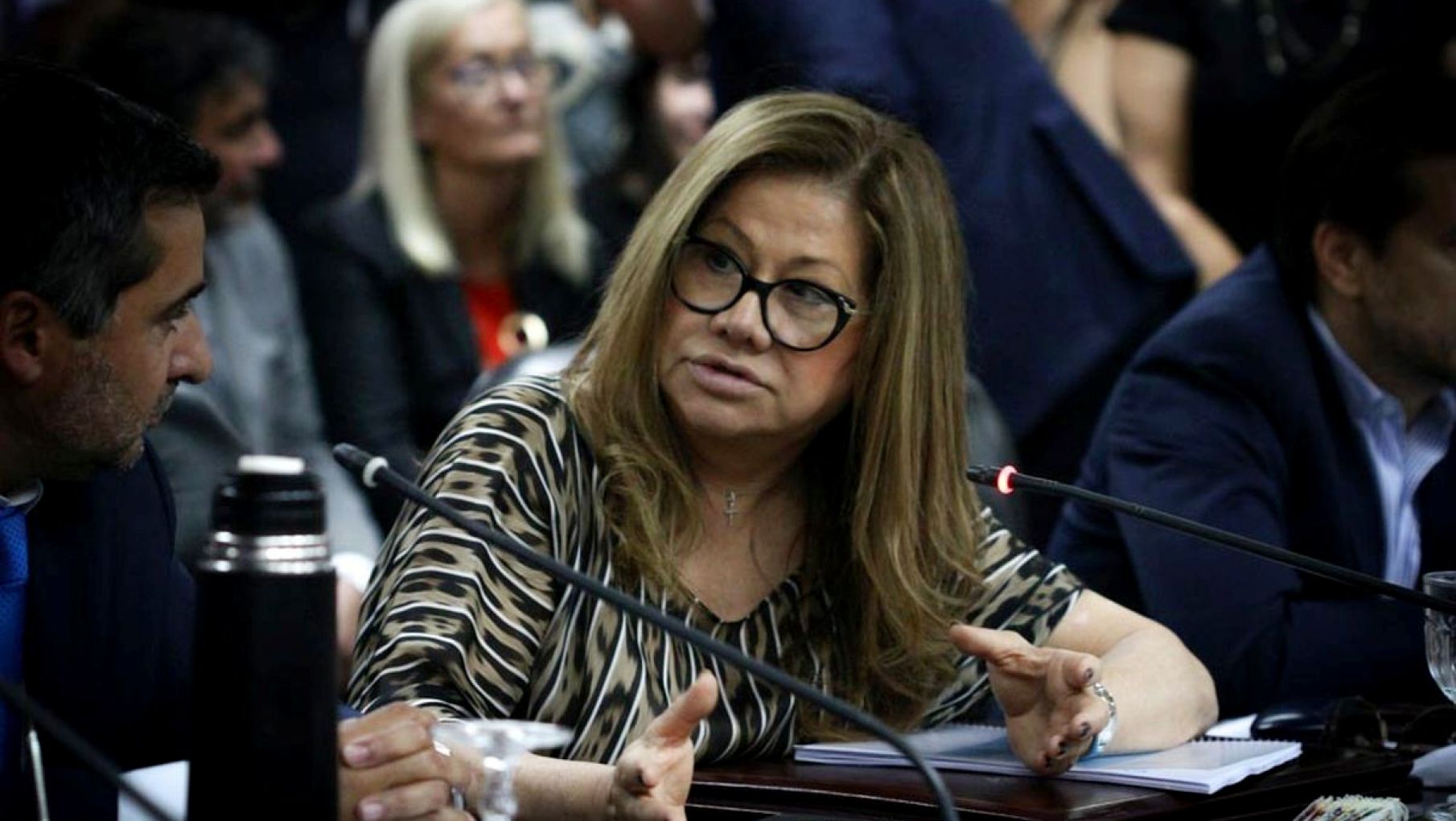 Elizabeth Gómez Alcorta: "Es un paso fundamental y un triunfo de la democracia"