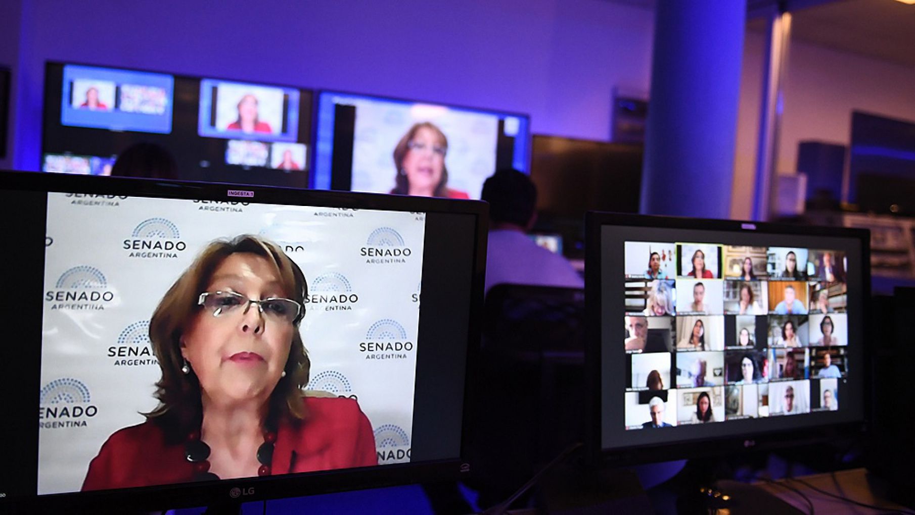 Avanza el debate en el Senado, con diferencias sobre la constitucionalidad