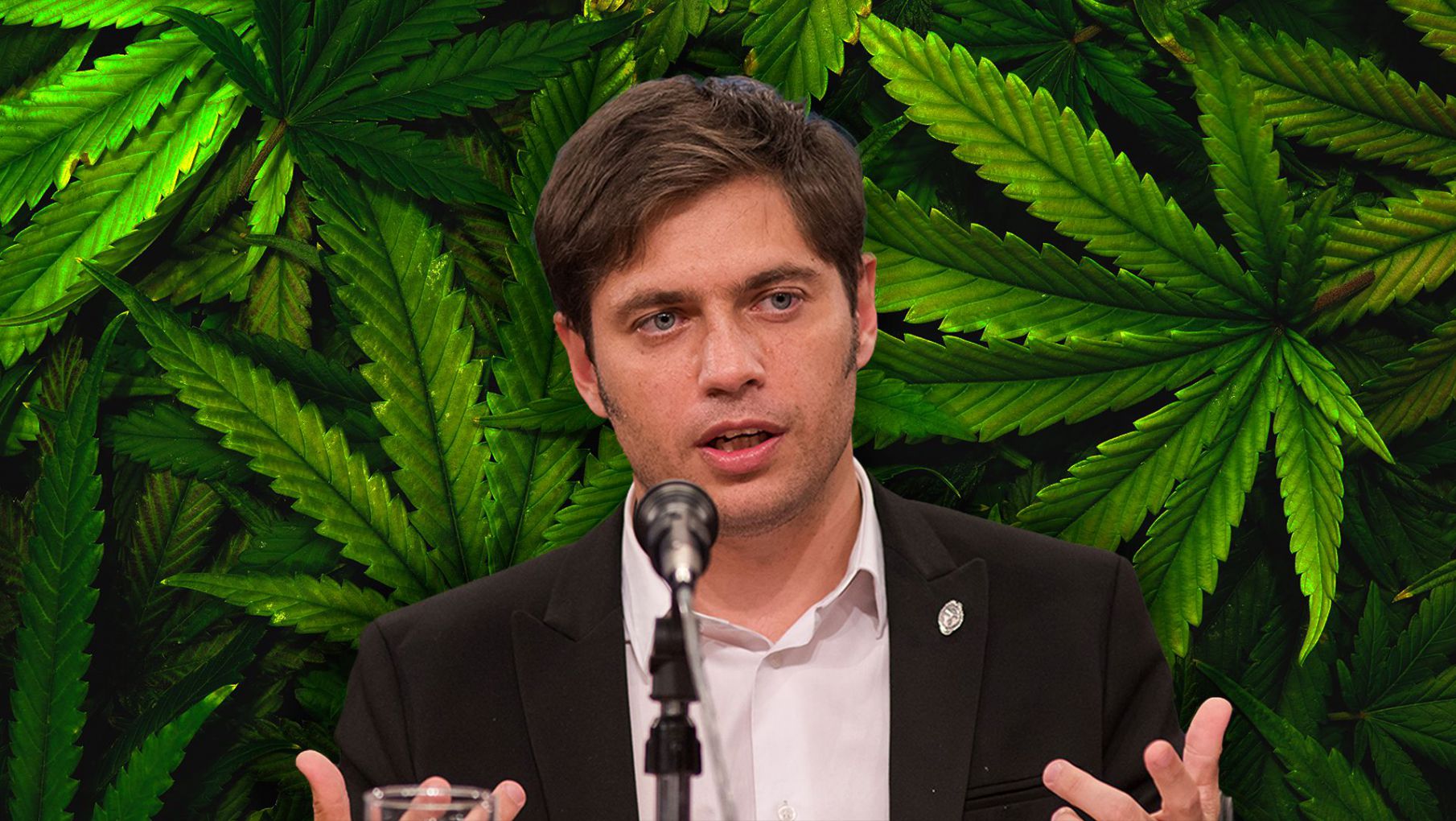 El gobierno bonaerense presentó el proyecto de ley que autoriza el autocultivo