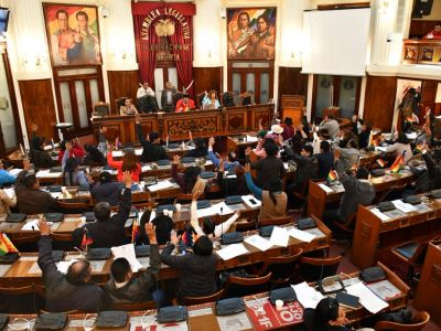 Diputados bolivianos sancionan una ley de impuesto a la riqueza