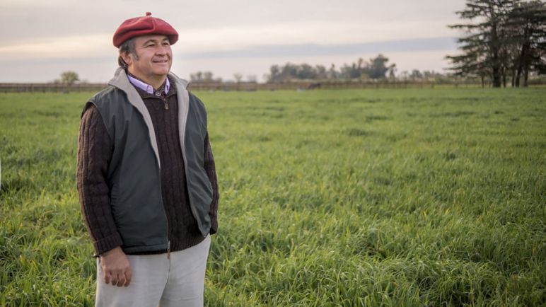 Pelegrina: "Si quieren generar divisas, tienen que tenernos como aliados, no como enemigos"