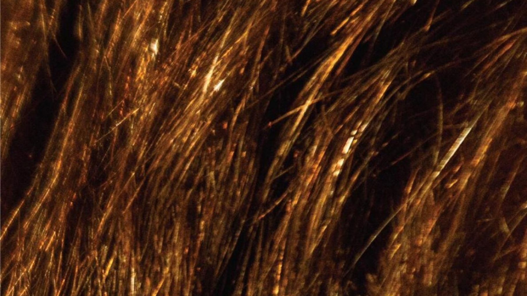 La insólita imagen con la que Juntos lanzó la candidatura de Santilli