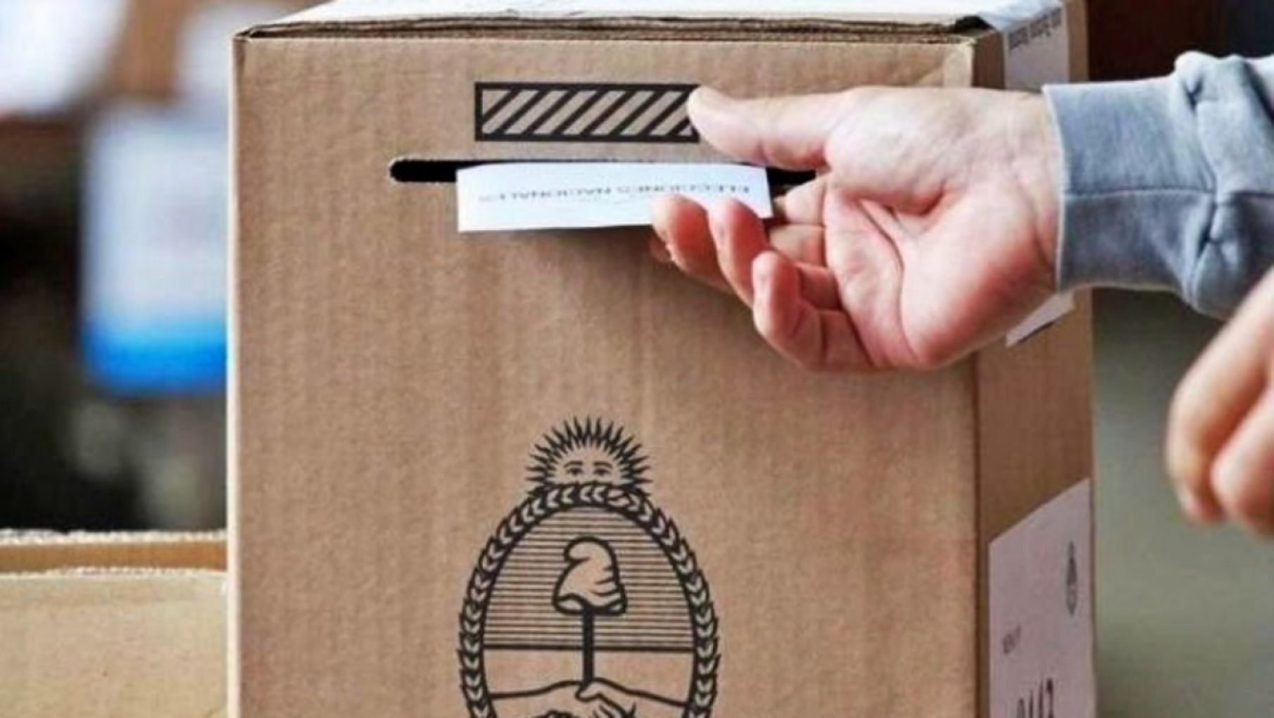 PASO 2021: Las boletas que estarán en el cuarto oscuro el 12 de septiembre