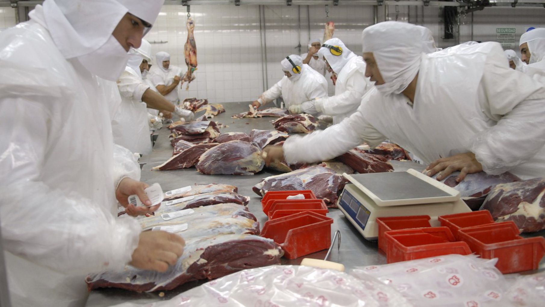 Frigoríficos: se aprobó a 15 de ellos para exportar 3.500 toneladas de carne kosher a Israel
