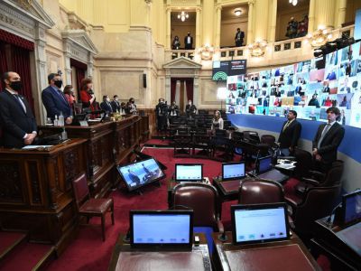 Los senadores coincidieron para emitir una declaración de rechazo a Chile