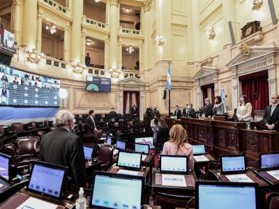 El oficialismo y su última semana con mayoría en el Senado