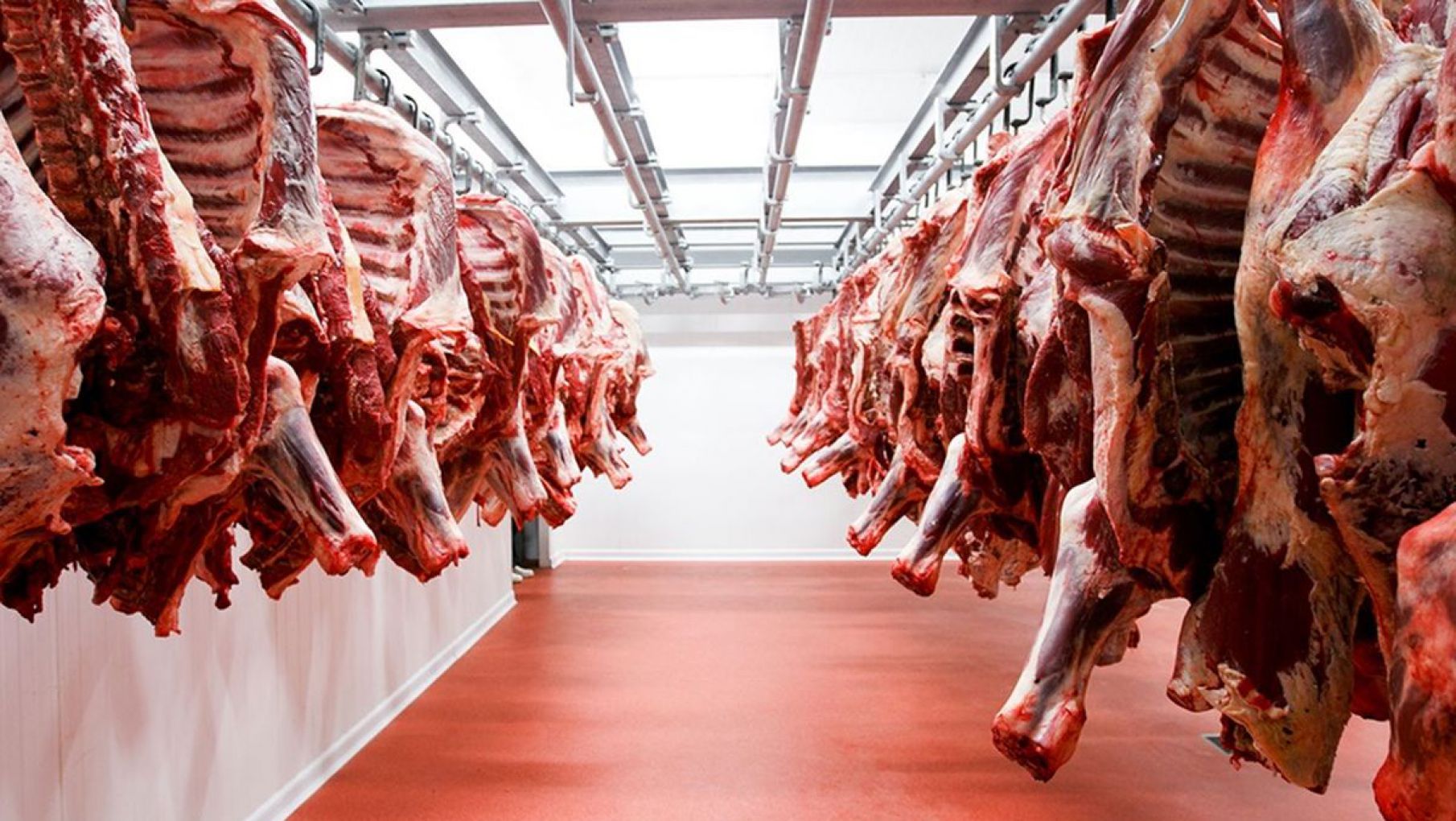 El Gobierno estableció nuevos parámetros para la exportación de carne
