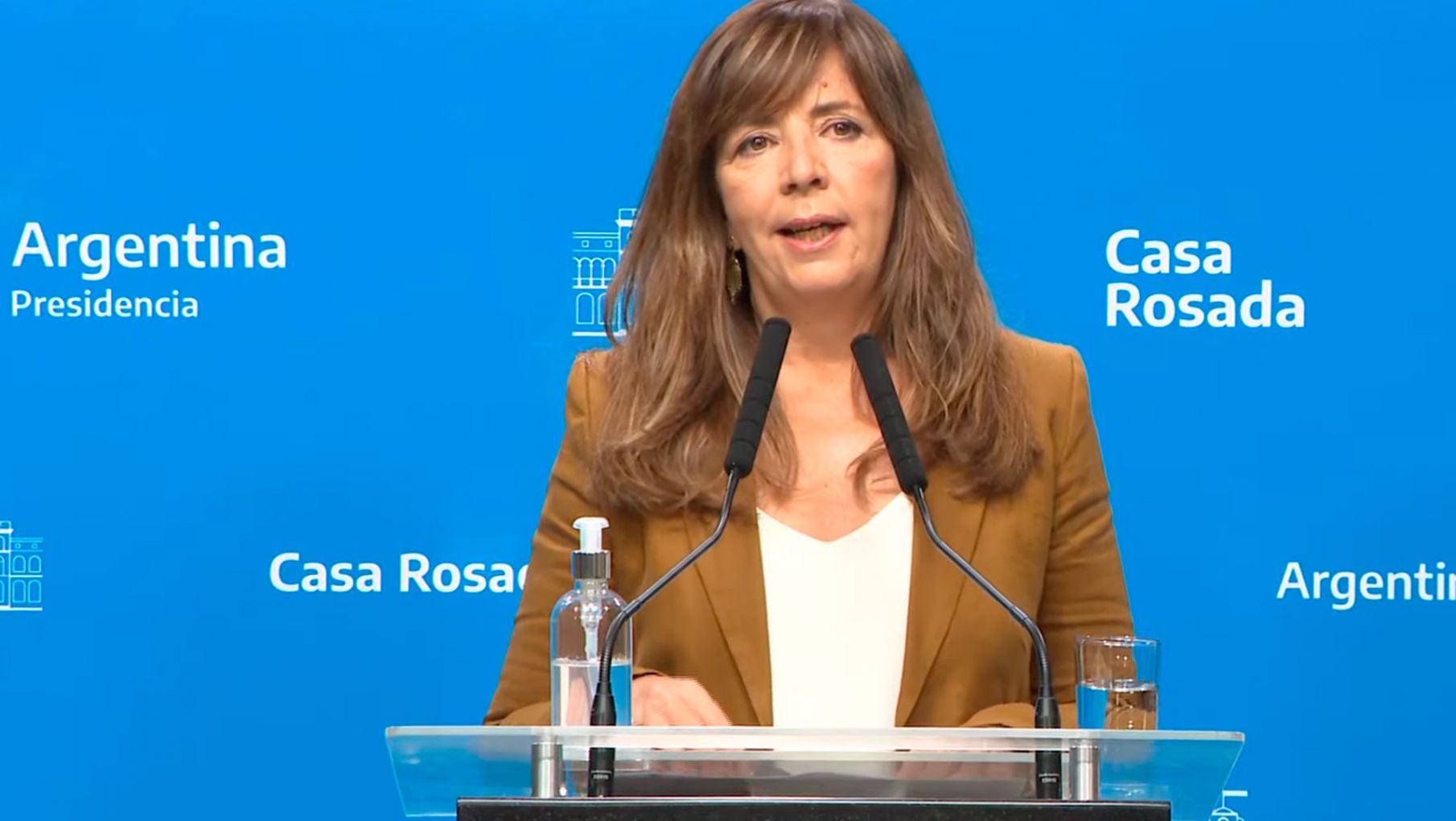 Cerruti afirmó que considera que en el Congreso hay " temas más prioritarios" que las PASO