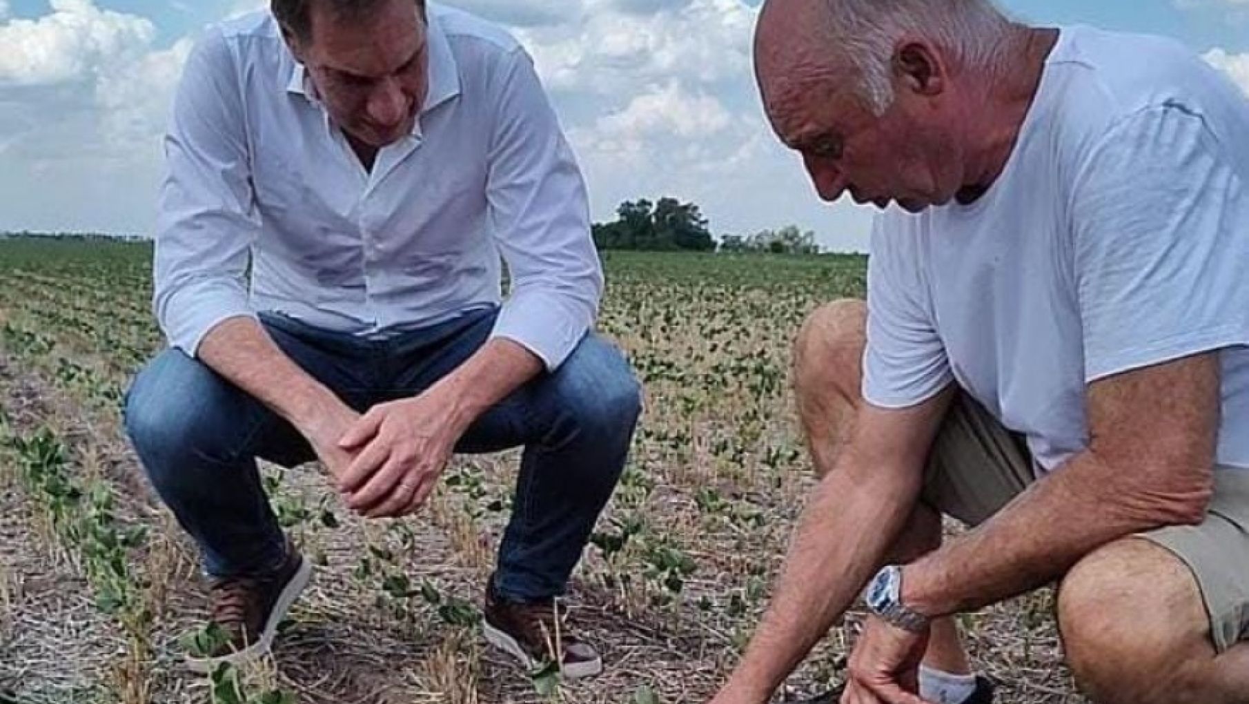 Santilli apuntó contra Kicillof por la "inacción" frente a la sequía