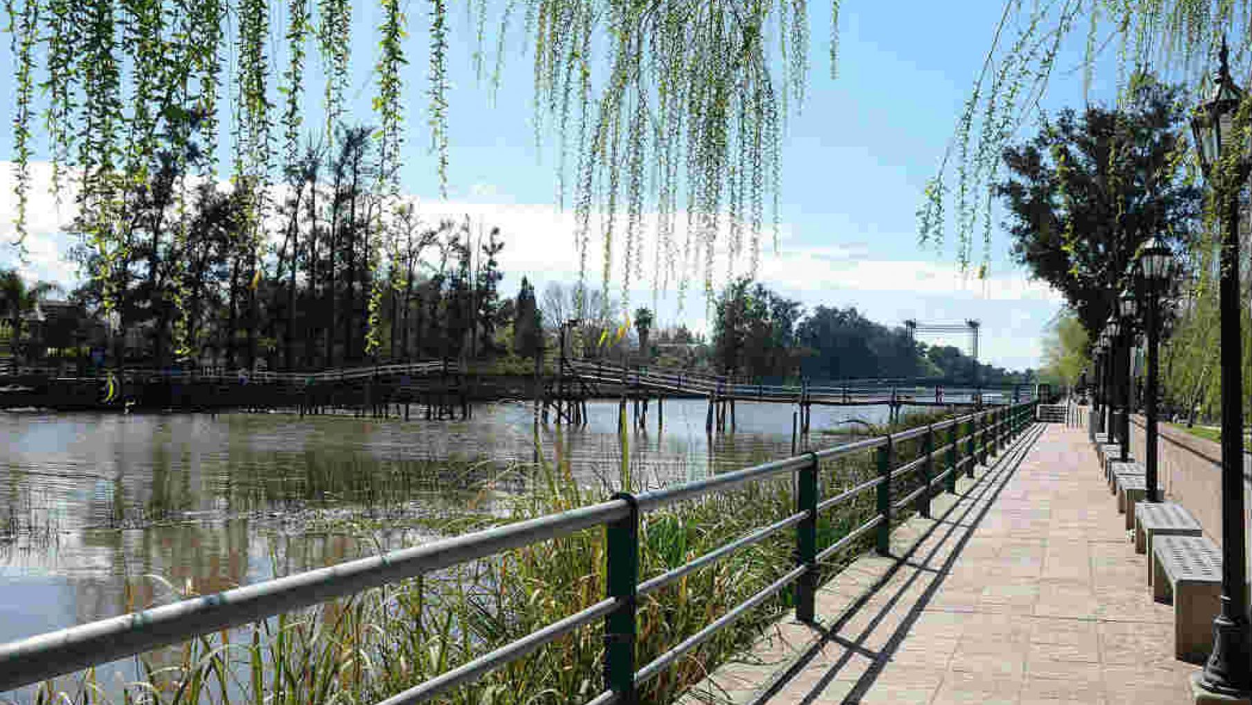 El dólar blue opera con una suba de $4 luego del anuncio del Presidente