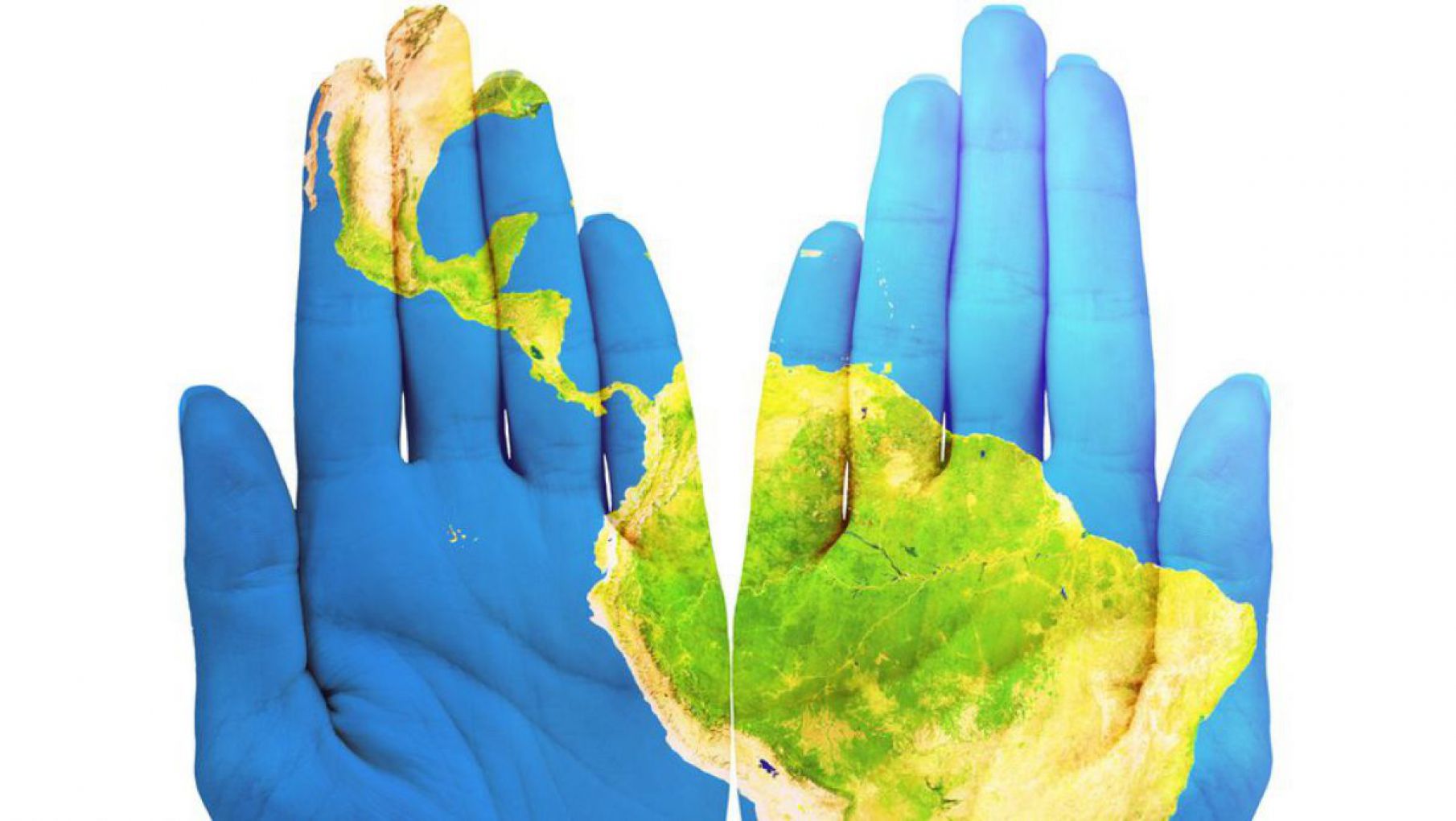 Fuerte caída del ingreso de divisas extranjeras