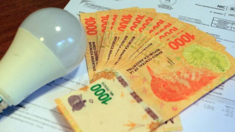 Los subsidios económicos a los servicios retrocedieron un 17%