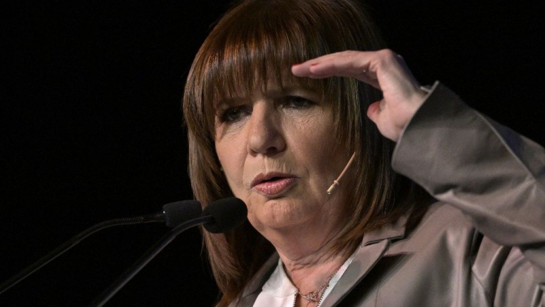 Bullrich: "la población está sola, no tiene quien la defienda"