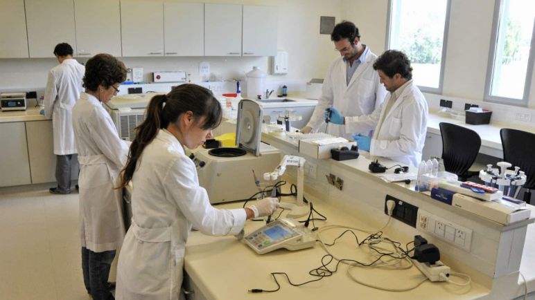 Luego de los dichos de Milei, habrá una movilización del Conicet