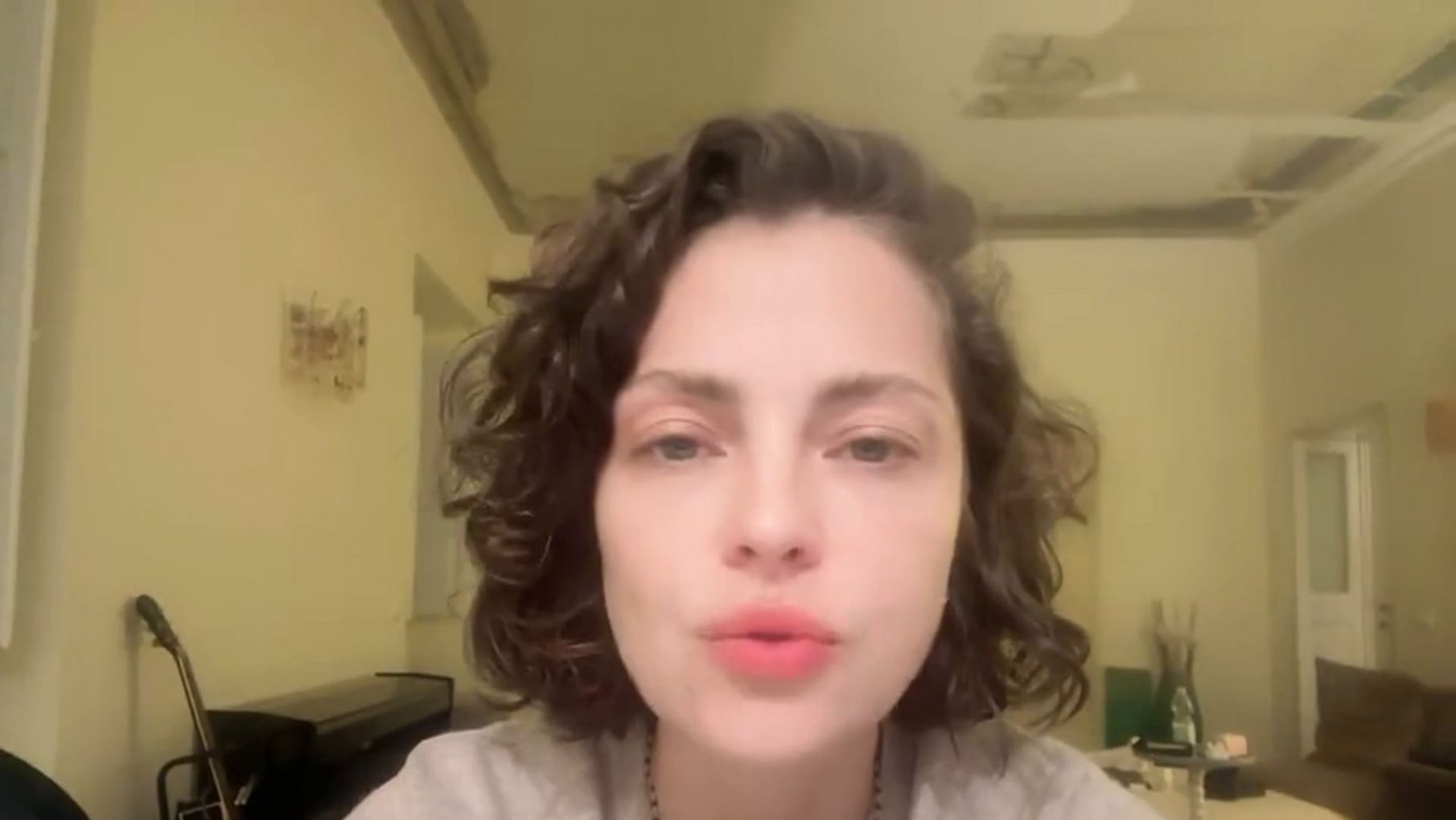 Dolores Fonzi y otros artistas se pronunciaron publicamente en contra de Javier MIlei