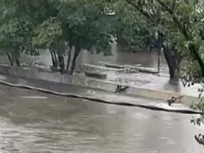 Encontraron el cuerpo de Bryan, el adolescente que desapareció en José León Suárez