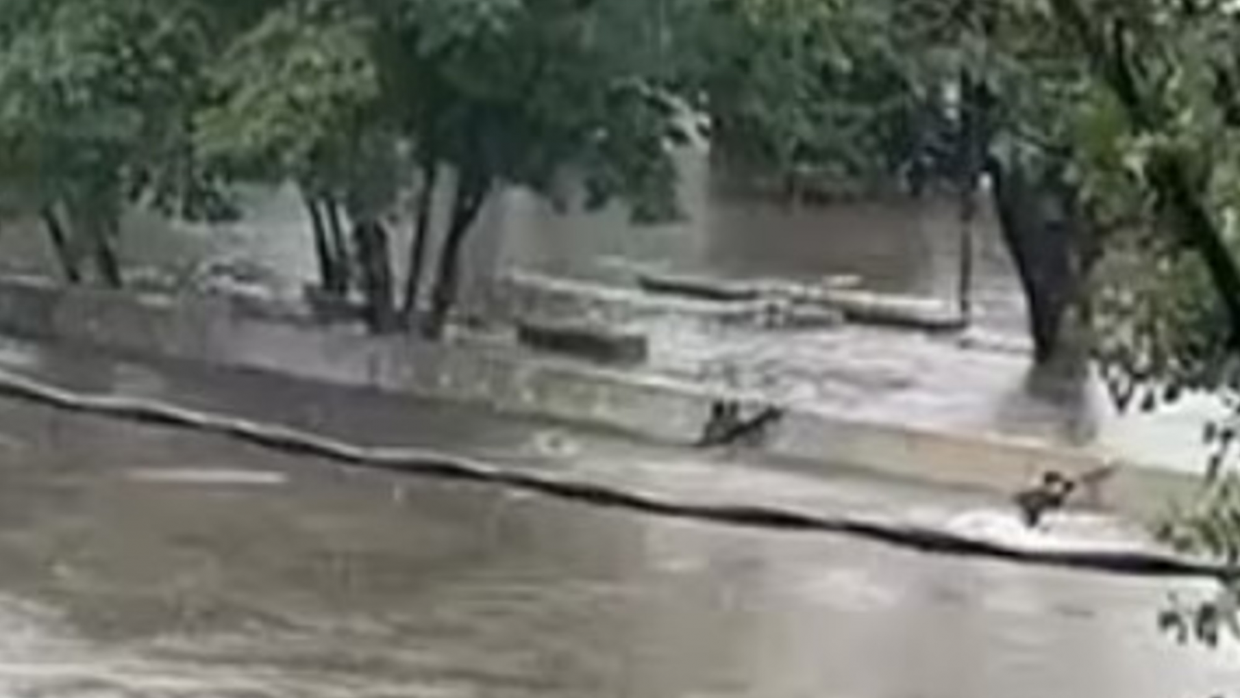 Encontraron el cuerpo de Bryan, el adolescente que desapareció en José León Suárez