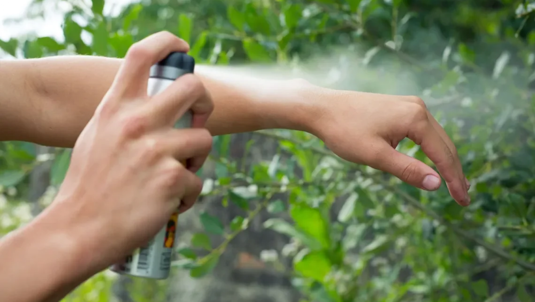 Llegaron los primeros repelentes provenientes de México