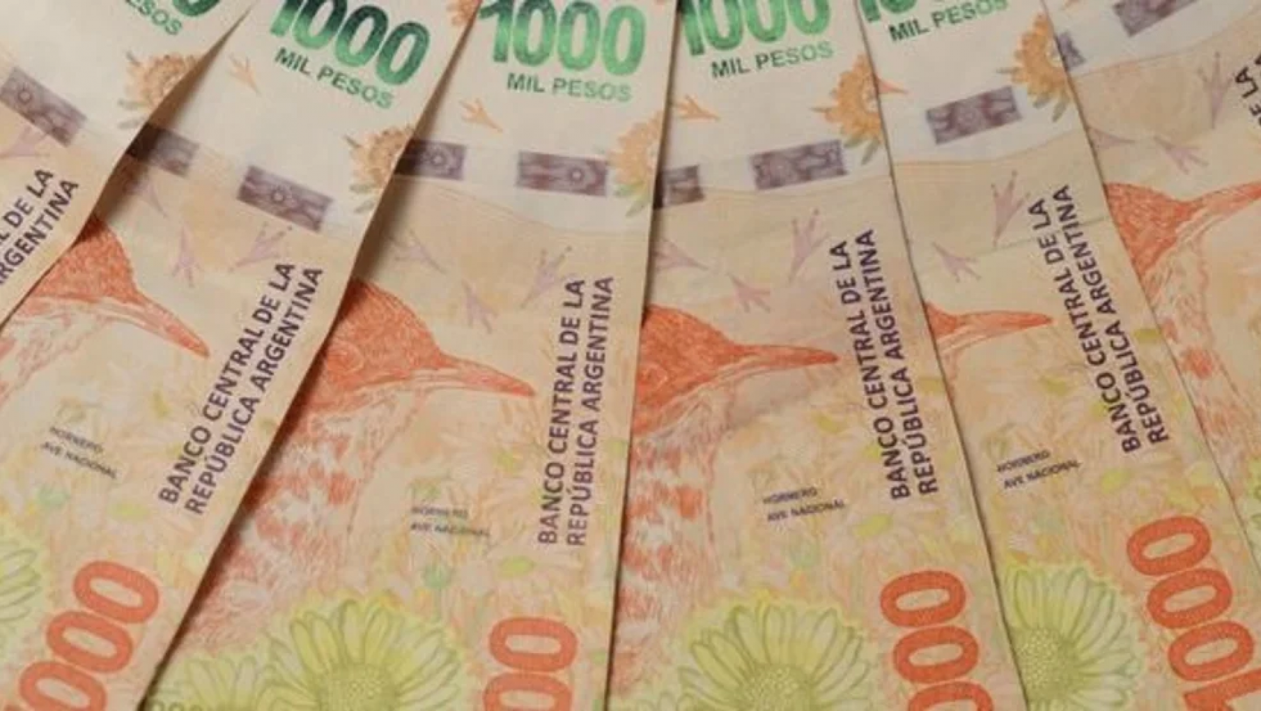 La deuda provincial trepó al máximo