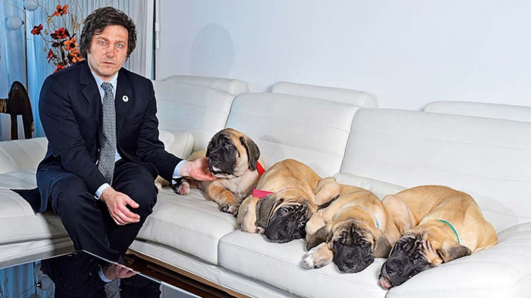 Con el respaldo del presidente Milei, se abrió en diputados la discusión de la "ley Conan"