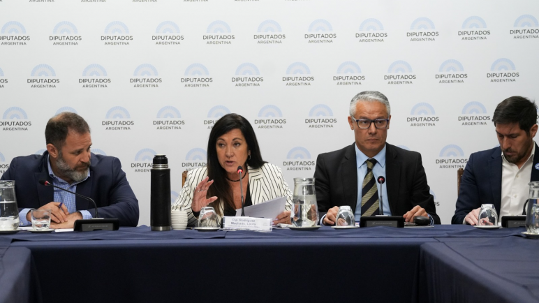 Debate en la Cámara: nuevo régimen penal juvenil y baja de la edad de imputabilidad