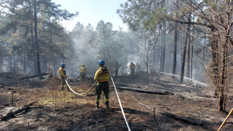 Temor por reactivación de Incendios en Córdoba, debido a las altas temperaturas