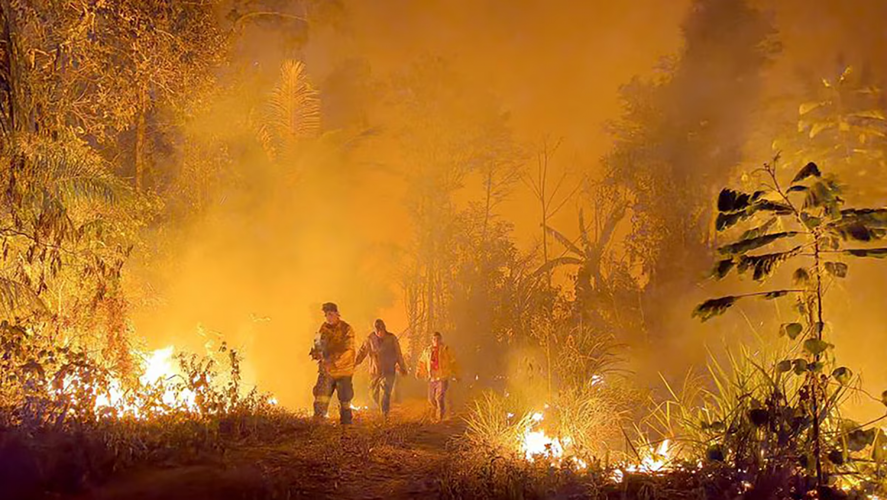 9,8 Millones de hectáreas quemadas por el peor incendio en Bolivia
