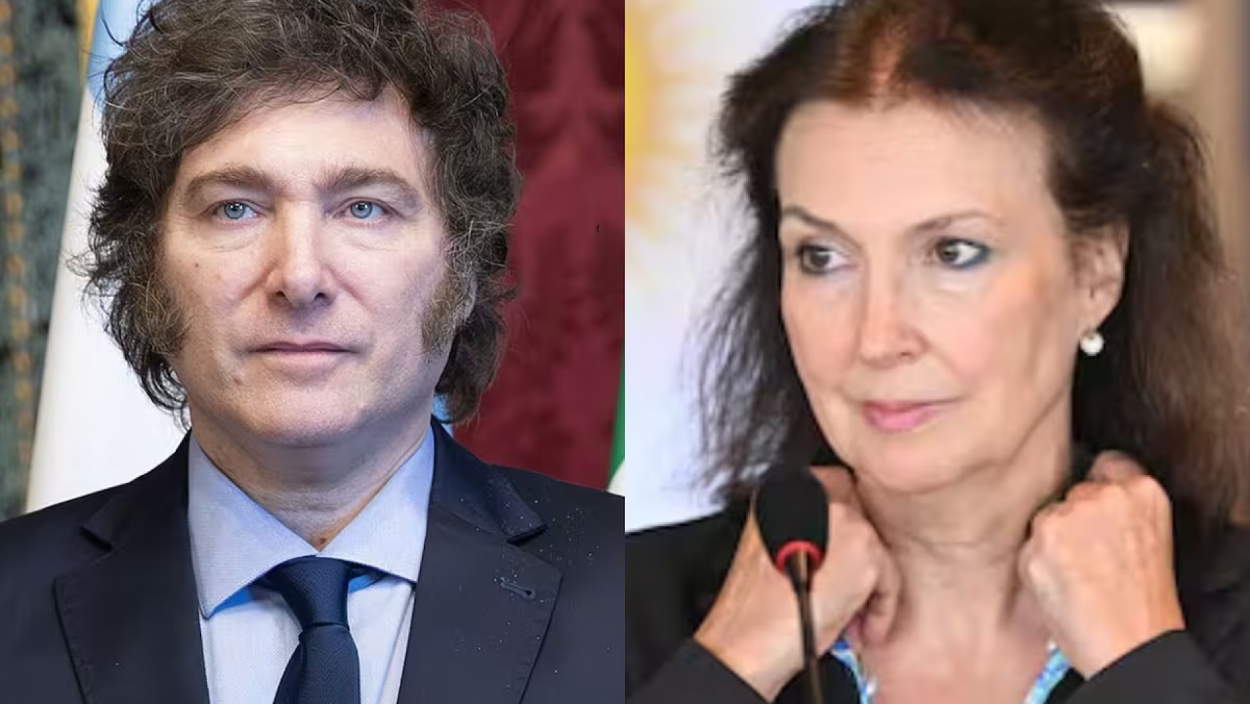 Tras ser desplazada del Gobierno, Diana Mondino emitIó un comunicado