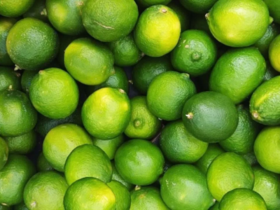 Ecuador el nuevo destino para las exportaciones Argentinas, se podrá exportar Citrícos y Carne Bovina