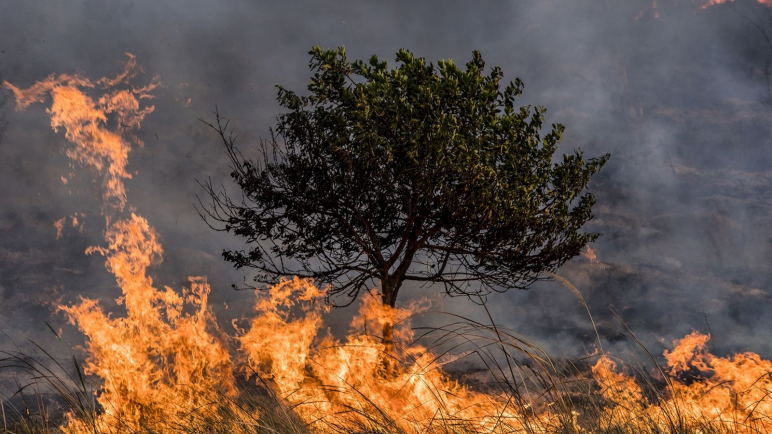 Los Incendios en Argentina no dan tregua se quemaron más de 250.000 hectáreas