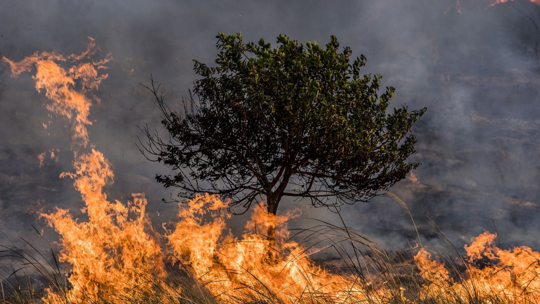 Los Incendios en Argentina no dan tregua se quemaron más de 250.000 hectáreas