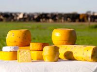 Día Mundial del Queso: una escapada imperdible por la Ruta del Queso en Suipacha