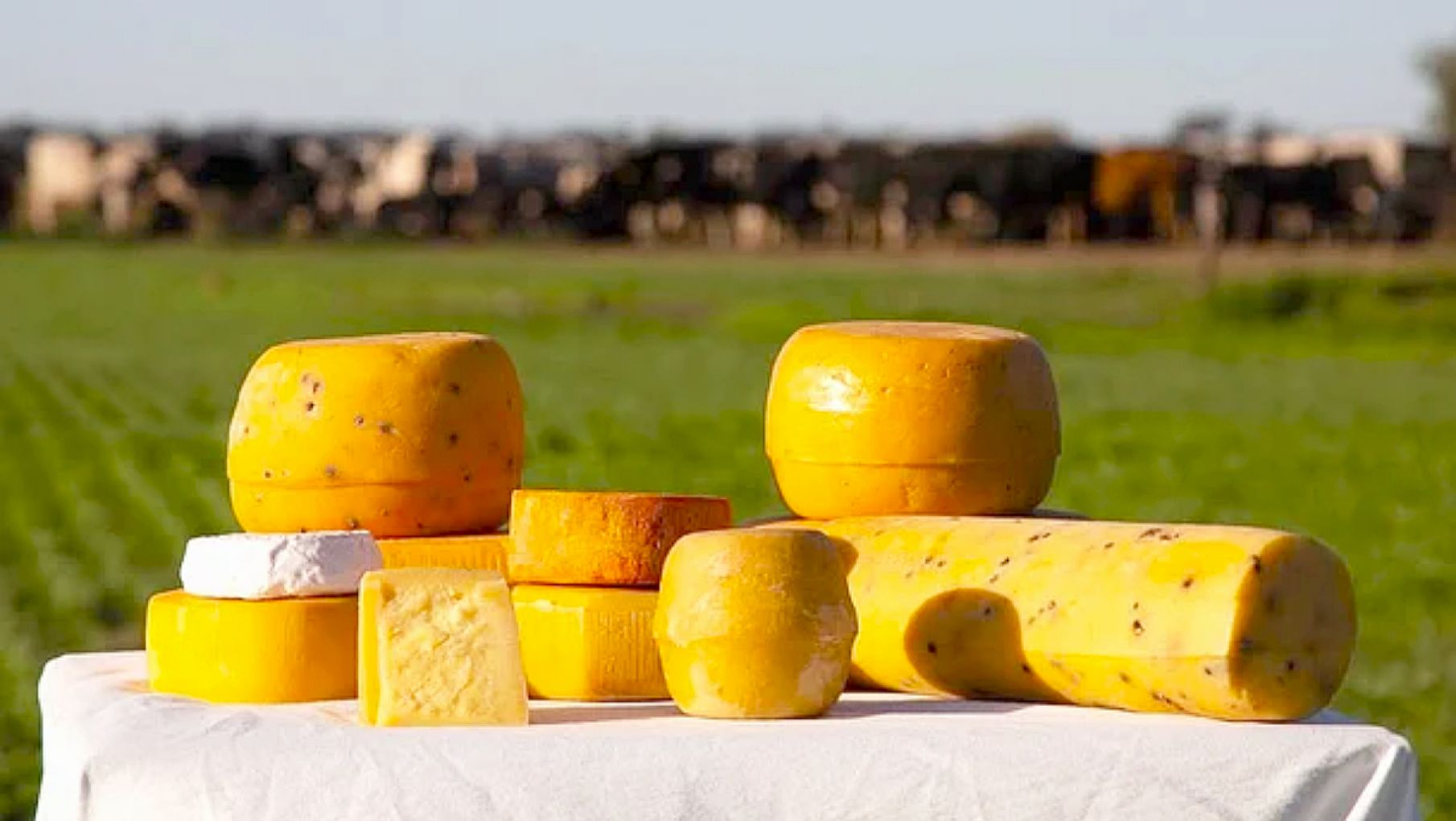 Día Mundial del Queso: una escapada imperdible por la Ruta del Queso en Suipacha