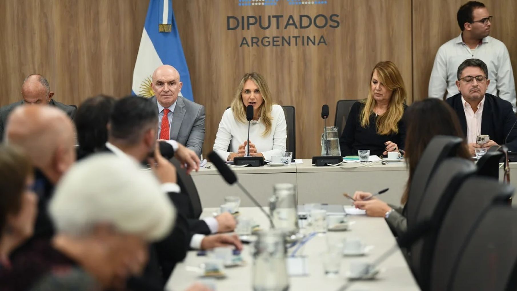 Jubilaciones: La oposición parlamentaria busca consensos para prorrogar la moratoria previsional y aumentar el bono