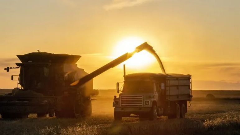 Menos retenciones impulsan la siembra de trigo y cebada con promesa de más divisas