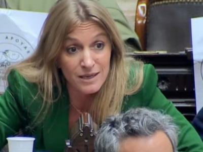 Sigue el escándalo y Carignano apuntó contra diputadas libertarias