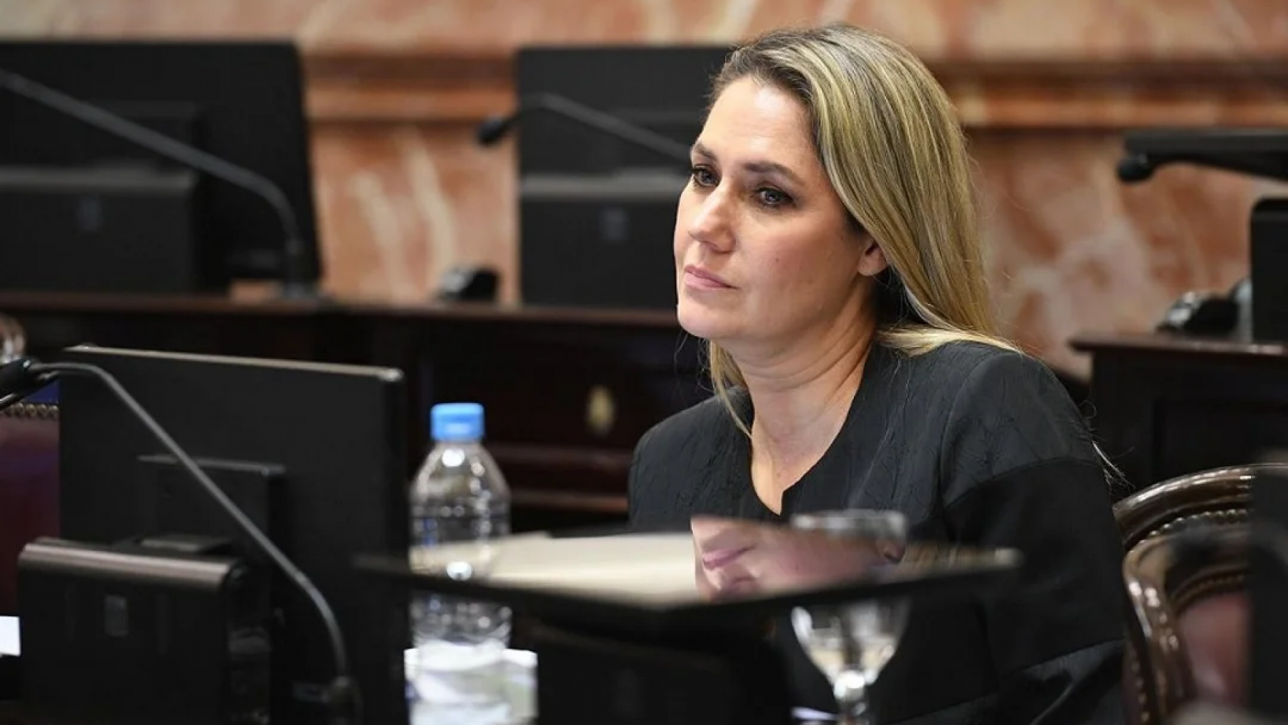 Votación polémica en el Senado: Losada aclaró que su voto fue "un gesto testimonial"