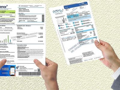 Cómo verificar el subsidio en las facturas de luz de Edenor y Edesur