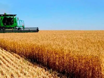 La Sociedad Rural de Rosario exige la baja "inmediata y sustancial" de las retenciones