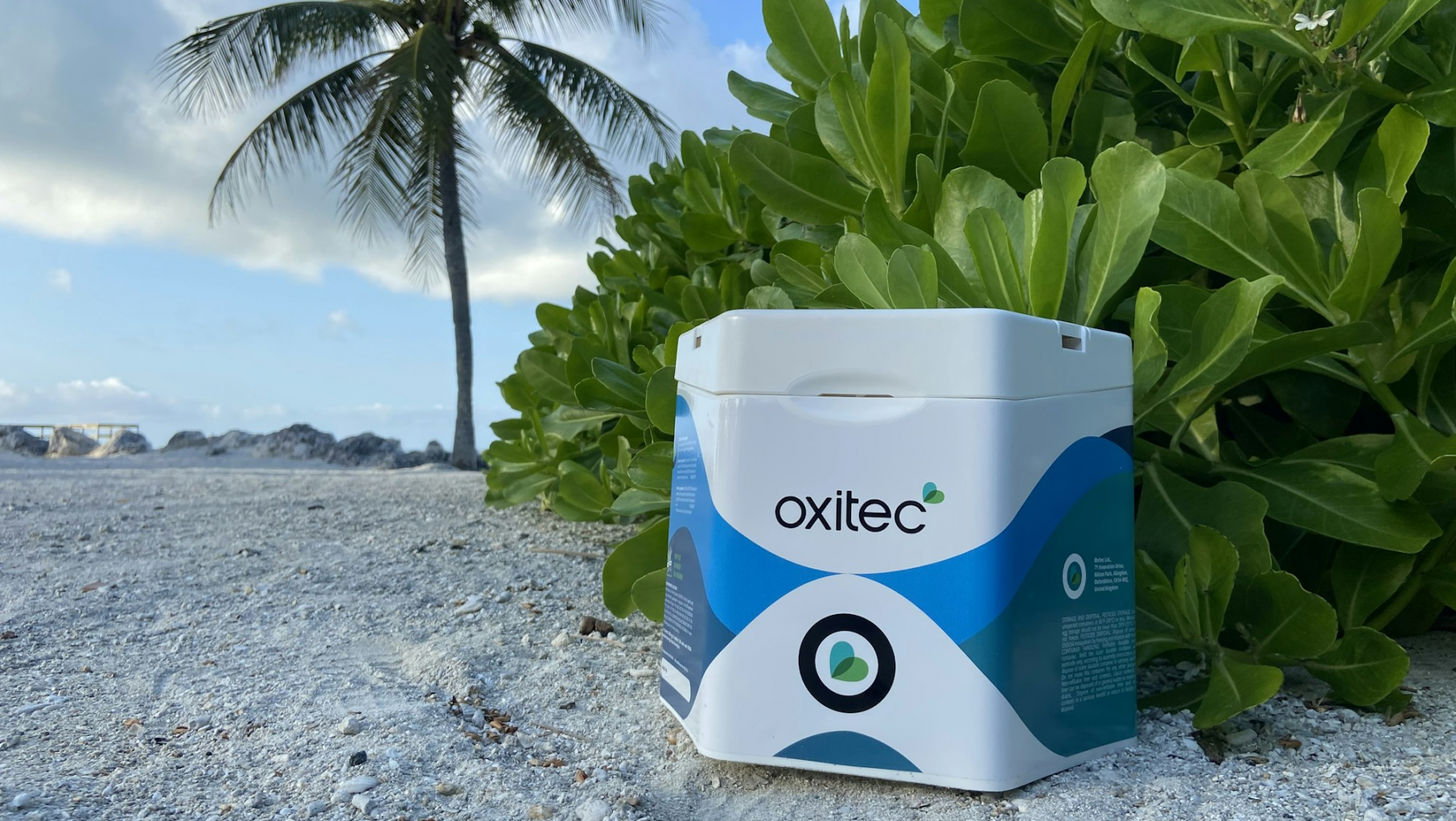 En Brasil pusieron en marcha una fabrica de mosquitos modificados para combatir el Dengue