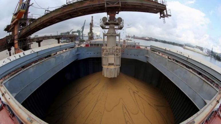 Alivio Fiscal al Campo: El Gobierno anunció una nueva baja permanente de retenciones a las exportaciones