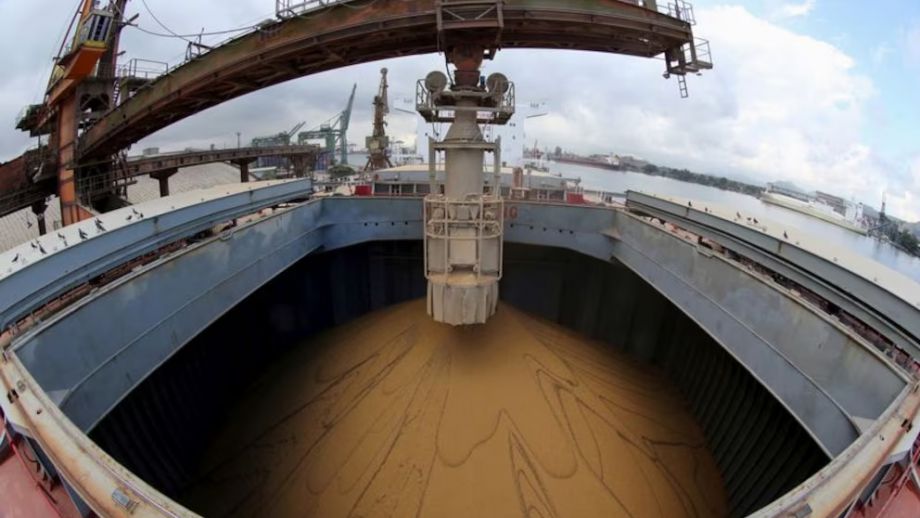 Alivio Fiscal al Campo: El Gobierno anunció una nueva baja permanente de retenciones a las exportaciones