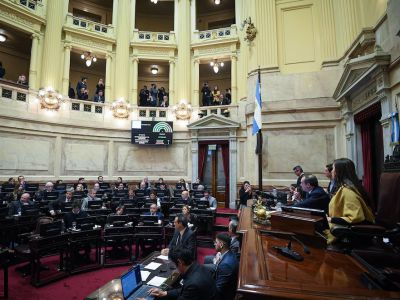 Sesión de Riesgo en el Senado: El Gobierno se juega su Plan Económico 2026 en una votación "finito a finito"