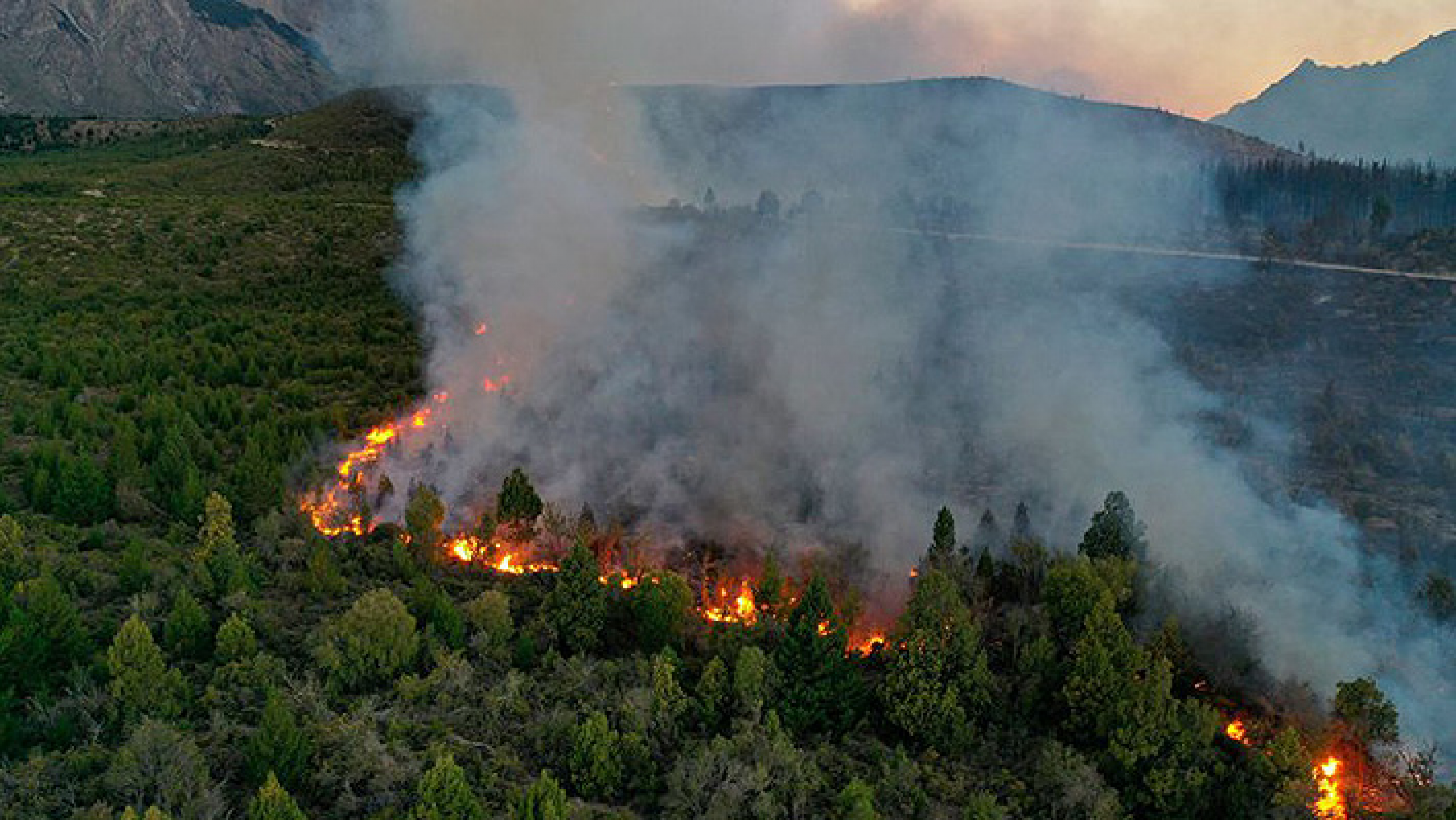Piden fortalecer el manejo del fuego tras nuevos incendios forestales en la Patagonia