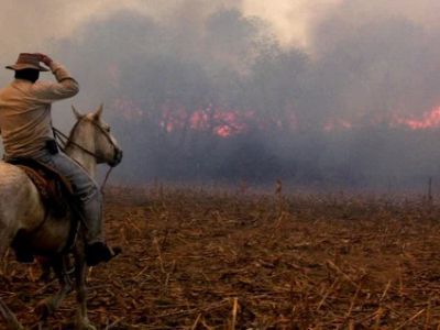 El Banco Nación lanza créditos para productores afectados por el fuego