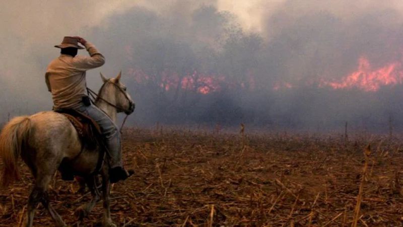 El Banco Nación lanza créditos para productores afectados por el fuego