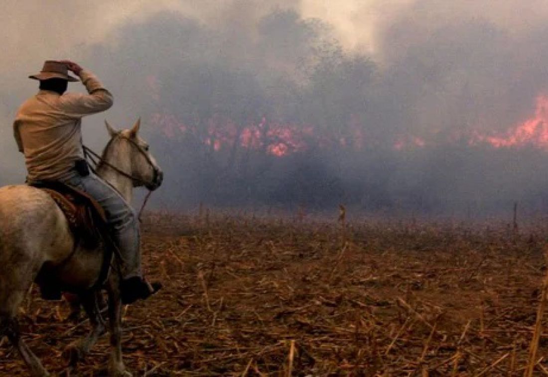 El Banco Nación lanza créditos para productores afectados por el fuego