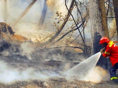 Patagonia al límite: incendios extremos, riesgo climático y comunidades bajo alerta