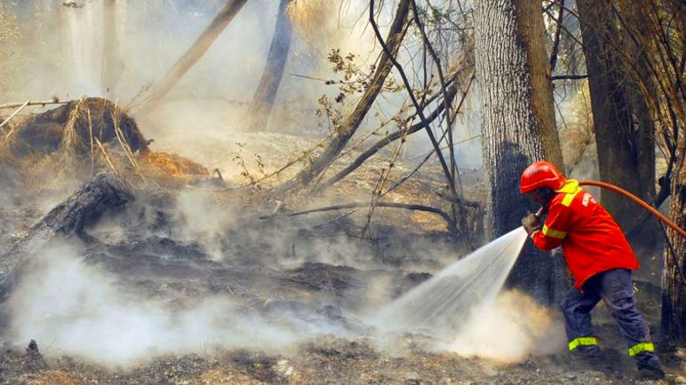 Patagonia al límite: incendios extremos, riesgo climático y comunidades bajo alerta
